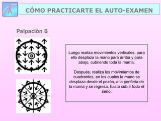 Palpación B
CÓMO PRACTICARTE EL AUTO-EXAMEN
Luego realiza movimientos verticales, para
ello desplaza la mano para arriba y para
abajo, cubriendo toda la mama.
Después, realiza los movimientos de
cuadrantes, en los cuales la mano se
desplaza desde el pezón, a la periferia de
la mama y se regresa, hasta cubrir todo el
seno.
 
