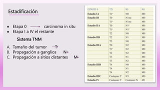 Estadificación
● Etapa 0 carcinoma in situ
● Etapa I a IV el restante
Sistema TNM
A. Tamaño del tumor T
B. Propagación a ganglios N
C. Propagación a sitios distantes M
 