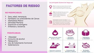 MODIFICABLES:
• Obesidad
• Consumo de alcohol
• Tabaquismo
• Uso de tratamiento hormonal
• Sedentarismo
NO MODIFICABLES:
• Sexo, edad, menarquia.
• Familiares con antecedentes de Cáncer.
• Hiperplasia Atípica
• Densidad Mamaria
• Exposición al estrógeno
• Embarazo y lactancia.
 