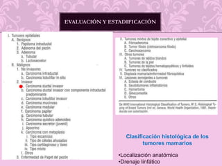 Evaluación y estadificaciónClasificación histológica de los tumores mamariosLocalización anatómica