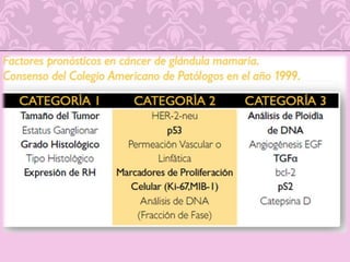 Criterios mamográficos para una biopsia: