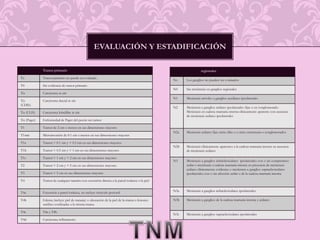Evaluación y estadificaciónTNM