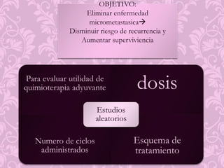Veronesi.Segmento de piel correspondiente y  aponeurosis del pectoral mayor.Tumores no mayores de 2-3 cm. CUADRANTECTOMIA