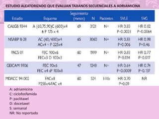 TINCION AZUL:4 – 5 ml azul isosulfano.Intradérmica.