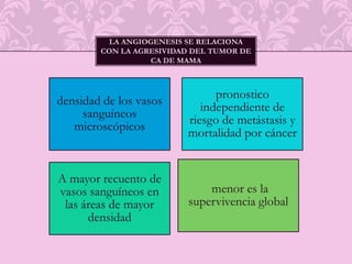 La actividad angiogenica de un tumor representa la sumatoria de reguladores positivos y negativos de angiogenesisEl comienzo de la neovascularización permite: