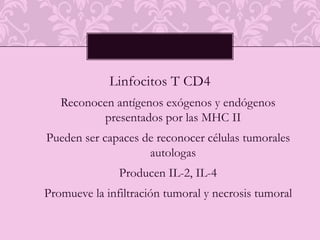 Ttoantiangiogenico : 