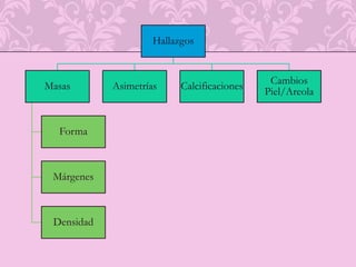 IL-12 promueve conversión de LTH2 a TH0 o TH1 con actividad citotoxica mas eficazMUC1 	