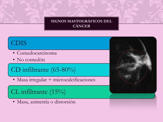 En Ca. Mama abarca toda la superficie celular 