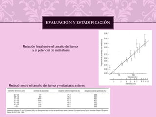 Evaluación y estadificaciónRelación lineal entre el tamaño del tumor y el potencial de metástasisRelación entre el tamaño del tumor y metástasis axilares