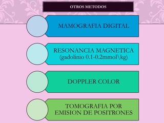 TECNICA DE ESTUDIO