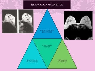ANATOMIA VASCULAR NORMAL