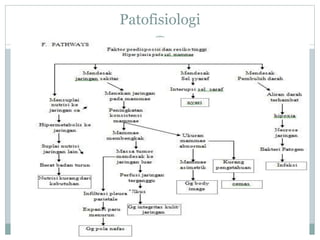 Patofisiologi
 