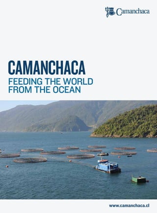 www.camanchaca.cl
CamanchacaFeeding the world
from the ocean
 