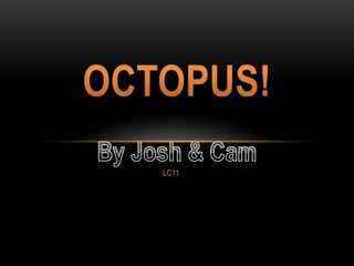 LC11 Octopus! By Josh & Cam 