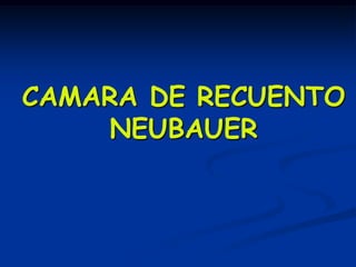 CAMARA DE RECUENTO
    NEUBAUER
 