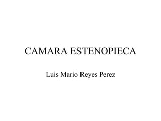 CAMARA ESTENOPIECA Luis Mario Reyes Perez 