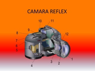 CAMARA REFLEX  