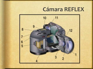 Cámara REFLEX
 