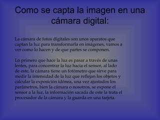 Como se capta la imagen en una
       cámara digital:
 
La cámara de fotos digitales son unos aparatos que
captan la luz para transformarla en imágenes, vamos a
ver como lo hacen y de que partes se componen.
 
Lo primero que hace la luz es pasar a través de unas
lentes, para concentrar la luz hacia el sensor, al lado
de este, la cámara tiene un fotómetro que sirve para
medir la intensidad de la luz que reflejan los objetos y
calcular la exposición idónea, una vez ajustados los
parámetros, bien la cámara o nosotros, se expone el
sensor a la luz, la información sacada de este la trata el
procesador de la cámara y la guarda en una tarjeta.
 