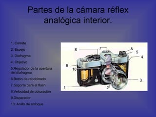 Partes de la cámara réflex
                  analógica interior.

1. Carrete
2. Espejo                             8   7       6
                                                      5
3. Diafragma                                              4
4. Objetivo
                                 9
5.Regulador de la apertura           10
del diafragma
6.Botón de rebobinado                                     3
7.Soporte para el flash
                             1                2
8.Velocidad de obturación
9.Disparador
10. Anillo de enfoque
 