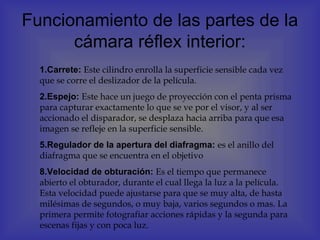 Funcionamiento de las partes de la
      cámara réflex interior:
  1.Carrete: Este cilindro enrolla la superficie sensible cada vez
  que se corre el deslizador de la película.
  2.Espejo: Este hace un juego de proyección con el penta prisma
  para capturar exactamente lo que se ve por el visor, y al ser
  accionado el disparador, se desplaza hacia arriba para que esa
  imagen se refleje en la superficie sensible.
  5.Regulador de la apertura del diafragma: es el anillo del
  diafragma que se encuentra en el objetivo
  8.Velocidad de obturación: Es el tiempo que permanece
  abierto el obturador, durante el cual llega la luz a la película.
  Esta velocidad puede ajustarse para que se muy alta, de hasta
  milésimas de segundos, o muy baja, varios segundos o mas. La
  primera permite fotografiar acciones rápidas y la segunda para
  escenas fijas y con poca luz.
 