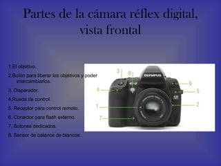 Partes de la cámara réflex digital,
                  vista frontal

1.El objetivo.
2.Botón para liberar los objetivos y poder
   intercambiarlos.
3. Disparador.
4.Rueda de control.
5. Receptor para control remoto.
6. Conector para flash externo.
7. Botones dedicados.
8. Sensor de balance de blancos.
 