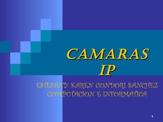 1
ESTEFANY KAREN CONDORI SANCHEZ
COMPUTACION E INFORMATICA
CAMARASCAMARAS
IPIP
 