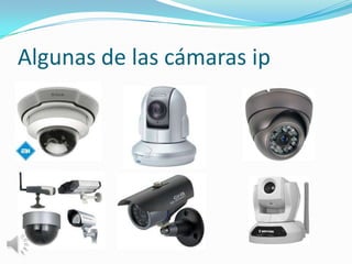 Algunas de las cámaras ip
 
