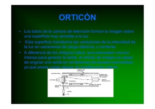 ORTICÓN
• Los tubos de la cámara de televisión forman la imagen sobre
  una superficie muy sensible a la luz.
• Esta superficie transforma las variaciones de la intensidad de
  la luz en variaciones de carga eléctrica, o corriente.
• A diferencia de los antiguos tubos, que precisaban una luz
  intensa para generar la señal, el orticón de imagen es capaz
  de originar una señal en condiciones de escasa luminosidad,
  ya que posee varias etapas de amplificación interna.
 