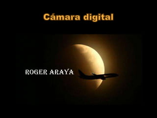 Roger Araya
 