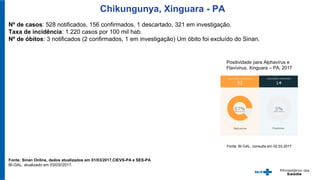 Chikungunya, Xinguara - PA
Fonte: Sinan Online, dados atualizados em 01/03/2017,CIEVS-PA e SES-PA
BI-GAL, atualizado em 03/03//2017.
Nº de casos: 528 notificados, 156 confirmados, 1 descartado, 321 em investigação.
Taxa de incidência: 1.220 casos por 100 mil hab.
Nº de óbitos: 3 notificados (2 confirmados, 1 em investigação) Um óbito foi excluído do Sinan.
Positividade para Alphavírus e
Flavívirus, Xinguara – PA, 2017
Fonte: BI-GAL: consulta em 02.03.2017
 
