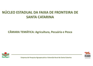 Empresa de Pesquisa Agropecuária e Extensão Rural de Santa Catarina
NÚCLEO ESTADUAL DA FAIXA DE FRONTEIRA DE
SANTA CATARINA
CÂMARA TEMÁTICA: Agricultura, Pecuária e Pesca
 