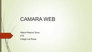 CAMARA WEB
Valeria Palacios Tavira
2º B
Colegio Las Rosas
 