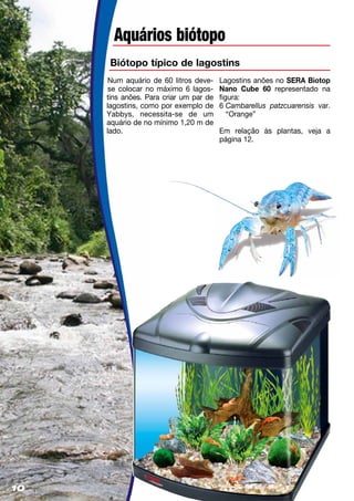 10
Aquários biótopo
Biótopo típico de lagostins
Num aquário de 60 litros deve-
se colocar no máximo 6 lagos-
tins anões. Para criar um par de
lagostins, como por exemplo de
Yabbys, necessita-se de um
aquário de no mínimo 1,20 m de
lado.
Lagostins anões no SERA Biotop
Nano Cube 60 representado na
figura:
6 Cambarellus patzcuarensis var.
“Orange”
Em relação às plantas, veja a
página 12.
 