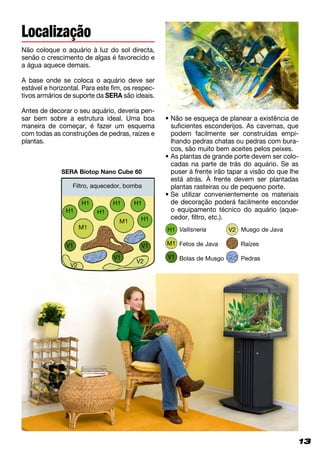 13
Não coloque o aquário à luz do sol directa,
senão o crescimento de algas é favorecido e
a água aquece demais.
A base onde se coloca o aquário deve ser
estável e horizontal. Para este fim, os respec-
tivos armários de suporte da SERA são ideais.
Antes de decorar o seu aquário, deveria pen-
sar bem sobre a estrutura ideal. Uma boa
maneira de começar, é fazer um esquema
com todas as construções de pedras, raízes e
plantas.
• Não se esqueça de planear a existência de
suficientes esconderijos. As cavernas, que
podem facilmente ser construídas empi-
lhando pedras chatas ou pedras com bura-
cos, são muito bem aceites pelos peixes.
• As plantas de grande porte devem ser colo-
cadas na parte de trás do aquário. Se as
puser à frente irão tapar a visão do que lhe
está atrás. À frente devem ser plantadas
plantas rasteiras ou de pequeno porte.
• Se utilizar convenientemente os materiais
de decoração poderá facilmente esconder
o equipamento técnico do aquário (aque­
cedor, filtro, etc.).
Localização
13
Filtro, aquecedor, bomba
Vallisneria
Fetos de Java
Bolas de Musgo
Musgo de Java
Raízes
Pedras
SERA Biotop Nano Cube 60
V2
V2
V1 V1
V1
V2M1
M1
H1
H1
M1
V1
H1
H1
H1 H1
H1
 