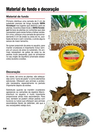 14
Material de fundo e decoração
Primeiro distribua uma camada de 2 cm de
substrato arenoso de longa duração SERA
floredepot nos lugares que destinou para as
plantas. Durante a fase inicial, o SERA florede­
pot fornece às plantas os nutrientes que elas
necessitam para raízes fortes e folhas verdes.
Em cima, coloque uma camada de aproxima-
damente 5 cm de areão ou areia do rio, aca-
bada de lavar e sem corantes, e ainda alguns
seixos de maior tamanho.
Se quiser prescindir da areia no aquário, para
manter crustáceos é importante incluir sem-
pre um pouco de areia no substrato. Os ani-
mais necessitam de grãos de areia ou de
pedras muito pequenas, para os armazenar
no seu órgão de equilíbrio (chamado estato-
cisto) durante a ecdise.
Material de fundo
Decoração
As raízes, tal como as plantas, são adequa-
das como “zona de pasto” e como elementos
estruturais. Oferecem aos animais a protec-
ção necessária, especialmente no período
importante depois da ecdise.
Sobretudo quando se mantêm crustáceos
agressivos ou camarões da espécie Ma­cro­
brachium no aquário, é muito importante
pro­porcionar ainda mais esconderijos. Para
isso, também se podem utilizar pedras com
buracos ou tubos que ofereçam aos animais
esconderijos fáceis de defender, até que o
seu exosqueleto esteja duro.
2cm5cm
14
 