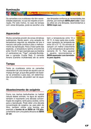 Iluminação
Os camarões e os crustáceos não têm neces­
sidades especiais, no que diz respeito à ilumi­
nação. Por este motivo, no caso de tampas
com várias lâmpadas, pode-se escolher uma
das lâmpadas conforme as necessidades das
plantas, por exemplo SERA plant color. Caso
se utilize só uma lâmpada, recomendamos a
SERA tropic sun.
Tampa
Aquecedor
Tanto os crustáceos como os camarões
necessitam de uma tampa de aquário que os
impeça de fugir, já que eles gostam de explo­
rar os arredores e para isso, em determina­
das circunstâncias, até podem sair do aquá­
rio.
Abastecimento de oxigénio
Como nos riachos borbulhantes no habitat
natural destes animais, na água do aquário
também é importante uma elevada concen­
tração de oxigénio, tanto para a ecdise, como
para a reprodução. Pode obter uma elevada
concentração de oxigénio, se, para além do
filtro, também utilizar uma bomba, por
exemplo a bomba de ar SERA air 110 plus,
juntamente com uma pedra difusora do SERA
air set.
Muitos camarões provêm de zonas climáticas
subtropicais. Sendo assim, uma variação da
temperatura segundo as estações do ano é
natural e até pode contribuir para o melhora­
mento da reprodução. Para a maior parte das
espécies, a temperatura óptima encontra-se
entre 19 e 25 °C (por exemplo para os Caridina
cf. cantonensis var. “Tiger”, camarão Bum­ble­
­bee e camarão Crystal Red). O camarão
Amano (Caridina multidentata) até se sente
bem a temperaturas entre 10 e
30 °C. A maior parte dos crustá­
ceos necessita de temperaturas
entre 20 e 27 °C. Os animais al­
cançam um melhor crescimento
a uma temperatura de aproxima­
damente 25 °C. Para aquecer
o aquário, recomendamos o
SERA aquecedor com termósta­
to para aquário.
1717
 