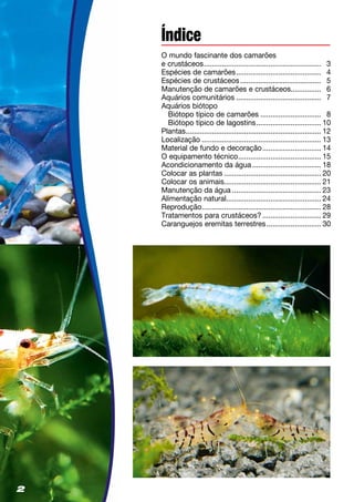2
Índice
O mundo fascinante dos camarões
e crustáceos........................................................... 3
Espécies de camarões........................................... 4
Espécies de crustáceos......................................... 5
Manutenção de camarões e crustáceos............... 6
Aquários comunitários........................................... 7
Aquários biótopo
Biótopo típico de camarões............................... 8
Biótopo típico de lagostins................................. 10
Plantas.................................................................... 12
Localização............................................................ 13
Material de fundo e decoração.............................. 14
O equipamento técnico.......................................... 15
Acondicionamento da água................................... 18
Colocar as plantas................................................. 20
Colocar os animais................................................. 21
Manutenção da água............................................. 23
Alimentação natural............................................... 24
Reprodução............................................................ 28
Tratamentos para crustáceos?.............................. 29
Caranguejos eremitas terrestres............................ 30
 