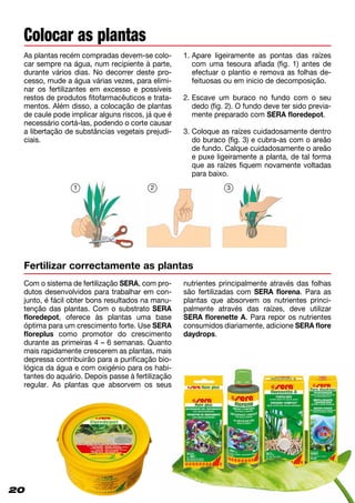 20
Colocar as plantas
As plantas recém compradas devem-se colo-
car sempre na água, num recipiente à parte,
durante vários dias. No decorrer deste pro-
cesso, mude a água várias vezes, para elimi-
nar os fertilizantes em excesso e possíveis
restos de produtos fitofarmacêuticos e trata-
mentos. Além disso, a colocação de plantas
de caule pode implicar alguns riscos, já que é
necessário cortá-las, podendo o corte causar
a libertação de substâncias vegetais prejudi-
ciais.
Fertilizar correctamente as plantas
1. Apare ligeiramente as pontas das raízes
com uma tesoura afiada (fig. 1) antes de
efectuar o plantio e remova as folhas de­
feituosas ou em inicio de decomposição.
2. Escave um buraco no fundo com o seu
dedo (fig. 2). O fundo deve ter sido previa-
mente preparado com SERA floredepot.
3. Coloque as raízes cuidadosamente dentro
do buraco (fig. 3) e cubra-as com o areão
de fundo. Calque cuidadosamente o areão
e puxe ligeiramente a planta, de tal forma
que as raízes fiquem novamente voltadas
para baixo.
1 2 3
Com o sistema de fertilização SERA, com pro­
dutos desenvolvidos para trabalhar em con-
junto, é fácil obter bons resultados na manu-
tenção das plantas. Com o substrato SERA
floredepot, oferece às plantas uma base
óptima para um crescimento forte. Use SERA
floreplus como promotor do crescimento
durante as primeiras 4 – 6 semanas. Quanto
mais rapidamente crescerem as plantas, mais
depressa contribuirão para a purificação bio-
lógica da água e com oxigénio para os habi-
tantes do aquário. Depois passe à fertilização
regular. As plantas que absorvem os seus
nutrientes principalmente através das folhas
são fertilizadas com SERA florena. Para as
plantas que absorvem os nutrientes princi­
palmente através das raízes, deve utilizar
SERA florenette A. Para repor os nutrientes
consumidos diariamente, adicione SERA flore
daydrops.
20
 