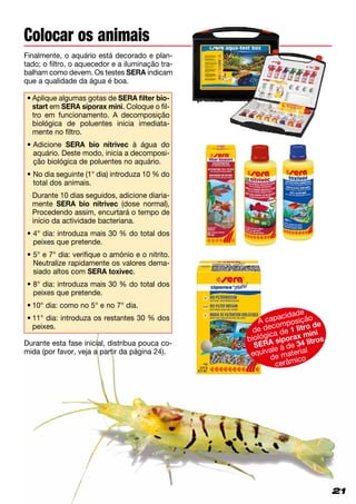 21
Finalmente, o aquário está decorado e plan-
tado; o filtro, o aquecedor e a iluminação tra-
balham como devem. Os testes SERA indicam
que a qualidade da água é boa.
Durante esta fase inicial, distribua pouca co­
mida (por favor, veja a partir da página 24).
Colocar os animais
21
•	Aplique algumas gotas de SERA filter bio­
start em SERA siporax mini. Coloque o fil­
tro em funcionamento. A decomposição
biológica de poluentes inicia imediata-
mente no filtro.
• Adicione SERA bio nitrivec à água do
aquário. Deste modo, inicia a decomposi-
ção biológica de poluentes no aquário.
• No dia seguinte (1° dia) introduza 10 % do
total dos animais.
	Durante 10 dias seguidos, adicione diaria-
mente SERA bio nitrivec (dose normal),
Procedendo assim, encurtará o tempo de
início da actividade bacteriana.
• 4° dia: introduza mais 30 % do total dos
peixes que pretende.
• 5° e 7° dia: verifique o amónio e o nitrito.
Neutralize rapidamente os valores dema-
siado altos com SERA toxivec.
• 8° dia: introduza mais 30 % do total dos
peixes que pretende.
•	10° dia: como no 5° e no 7° dia.
•	11° dia: introduza os restantes 30 % dos
peixes.
A capacidade
de decomposição
biológica de 1 litro de
SERA siporax mini
equivale à de 34 litros
de material
cerâmico
 
