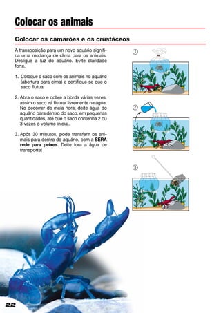 A transposição para um novo aquário signifi-
ca uma mudança de clima para os animais.
Desligue a luz do aquário. Evite claridade
forte.
1.	Coloque o saco com os animais no aquário
(abertura para cima) e certifique-se que o
saco flutua.
2. Abra o saco e dobre a borda várias vezes,
assim o saco irá flutuar livremente na água.
No decorrer de meia hora, deite água do
aquário para dentro do saco, em pequenas
quantidades, até que o saco contenha 2 ou
3 vezes o volume inicial.
3. Após 30 minutos, pode transferir os ani-
mais para dentro do aquário, com a SERA
rede para peixes. Deite fora a água de
transporte!
22
Colocar os camarões e os crustáceos
1
2
Colocar os animais
3
22
 
