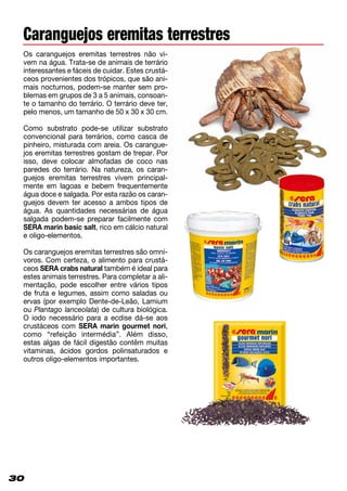 30
Caranguejos eremitas terrestres
Os caranguejos eremitas terrestres não vi­
vem na água. Trata-se de animais de terrário
interessantes e fáceis de cuidar. Estes crustá­
ceos provenientes dos trópicos, que são ani-
mais nocturnos, podem-se manter sem pro-
blemas em grupos de 3 a 5 animais, consoan­
te o tamanho do terrário. O terrário deve ter,
pelo menos, um tamanho de 50 x 30 x 30 cm.
Como substrato pode-se utilizar substrato
convencional para terrários, como casca de
pinheiro, misturada com areia. Os carangue-
jos eremitas terrestres gostam de trepar. Por
isso, deve colocar almofadas de coco nas
paredes do terrário. Na natureza, os caran-
guejos eremitas terrestres vivem principal-
mente em lagoas e bebem frequentemente
água doce e salgada. Por esta razão os caran­
guejos devem ter acesso a ambos tipos de
água. As quantidades necessárias de água
salgada podem-se preparar facilmente com
SERA marin basic salt, rico em cálcio natural
e oligo-elementos.
Os caranguejos eremitas terrestres são omní-
voros. Com certeza, o alimento para crustá-
ceos SERA crabs natural também é ideal para
estes animais terrestres. Para completar a ali-
mentação, pode escolher entre vários tipos
de fruta e legumes, assim como saladas ou
ervas (por exemplo Dente-de-Leão, Lamium
ou Plantago lanceolata) de cultura biológica.
O iodo necessário para a ecdise dá-se aos
crustáceos com SERA marin gourmet nori,
como “refeição intermédia”. Além disso,
estas algas de fácil digestão contêm muitas
vitaminas, ácidos gordos polinsaturados e
outros oligo-elementos importantes.
 