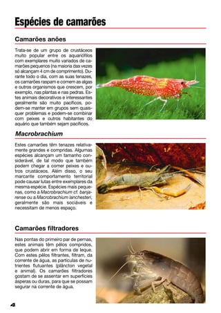 4
Espécies de camarões
Camarões anões
Trata-se de um grupo de crustáceos
mui­to popular entre os aquariófilos
com exemplares muito variados de ca­
marões pequenos (na maioria das ve­zes
só alcançam 4 cm de comprimento). Du­
­­rante todo o dia, com as suas tenazes,
os camarões raspam e comem as al­­gas
e outros organismos que cresc­em, por
exemplo, nas plantas e nas pe­dras. Es­
tes animais decorativos e interessantes
geralmente são muito pacíficos, po­
dem-se manter em grupos sem quais-
quer problemas e podem-se combinar
com peixes e outros habitantes do
aquário que também sejam pacíficos.
Macrobrachium
Estes camarões têm tenazes relativa-
mente grandes e compridas. Algu­mas
espécies alcançam um tamanho con­
siderável, de tal modo que também
podem chegar a comer peixes e ou­
tros crustáceos. Além disso, o seu
mar­­cante comportamento territorial
pode causar lutas entre exemplares da
mesma espécie. Espécies mais peque­
nas, como a Macrobrachium cf. banja­
rense ou a Macrobrachium lanchesteri,
geralmente são mais sociáveis e
necessitam de menos espaço.
Camarões filtradores
Nas pontas do primeiro par de pernas,
estes animais têm pêlos compridos,
que podem abrir em forma de leque.
Com estes pêlos filtrantes, filtram, da
corrente de água, as partículas de nu­
trientes flutuantes (plâncton vegetal
e animal). Os camarões filtradores
gos­tam de se assentar em superfícies
ásperas ou duras, para que se possam
segurar na corrente de água.
 