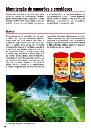 66
Manutenção de camarões e crustáceos
Geralmente aplica-se a seguinte regra para
todas as formas de manutenção, também
para camarões pacíficos e sociáveis: Quanto
menos, melhor! Além disso, caso tenha um
grande número de exemplares, há que ter
em consideração que lhes deve oferecer tan-
tos esconderijos quanto possível. Es­pe­cial­
mente durante a ecdise, os crustáceos e os
camarões necessitam de um esconderijo,
para proteger o seu corpo mole.
Ecdise
Os crustáceos e os camarões têm um exo­
squeleto, ou seja um esqueleto externo.
Como este não pode crescer com eles, é
substituído regularmente por um novo du­
rante a ecdise. Trata-se de um momento
emocionante, quando o crustáceo abandona
a sua antiga pele, também chamada exúvia, e
se torna visível a nova “carapaça” ainda mole
e flexível. Seguidamente, o exosqueleto que
se estende até se adaptar ao novo tamanho,
endurece por meio de processos químicos e
de depósitos de minerais – por exemplo cál-
cio. Os membros feridos ou arrancados
podem tornar a crescer pouco a pouco com
a ecdise. Os problemas durante a ecdise, na
maior parte das vezes, são causados por con­
dições impróprias ou por uma alimentação
deficiente e inadequada. Com os alimentos
especiais para crustáceos SERA crabs natural
e SERA shrimps natural podem-se prevenir
os problemas com a ecdise.
A carapaça depois da ecdise (exúvia)
 