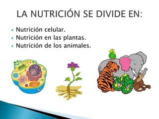  Nutrición celular.
 Nutrición en las plantas.
 Nutrición de los animales.
 