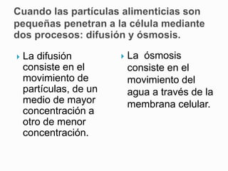  La difusión
consiste en el
movimiento de
partículas, de un
medio de mayor
concentración a
otro de menor
concentración.
 La ósmosis
consiste en el
movimiento del
agua a través de la
membrana celular.
 