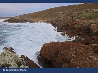 43-Seo do Home Morto
 