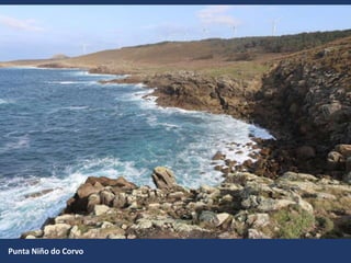 Punta Niño do Corvo
 