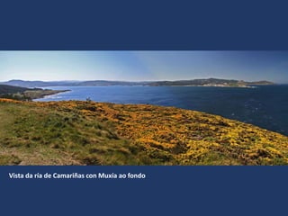 Vista da ría de Camariñas con Muxía ao fondo
 
