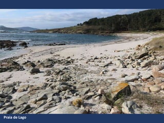 Praia de Lago
 